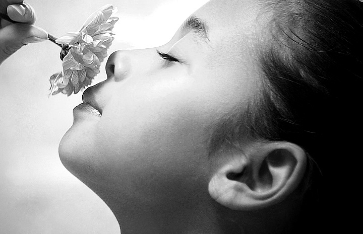 无限短信网页在线轰炸